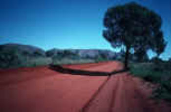 pic29.jpg